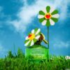 Daisy Murakami Green Eau de Parfum